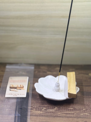 Palo Santo incense sticks