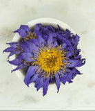 Blue lotus