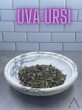 Uva ursi
